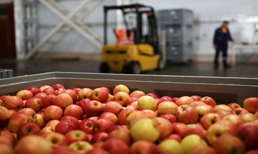 В Калининградскую область может попасть радиоактивно заражённая продукция