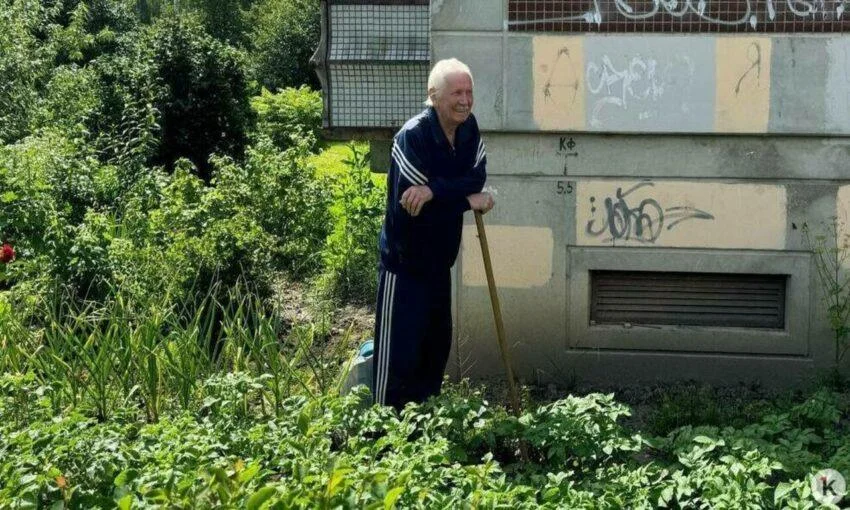 Картофель в Калининграде выращивают прямо под окнами