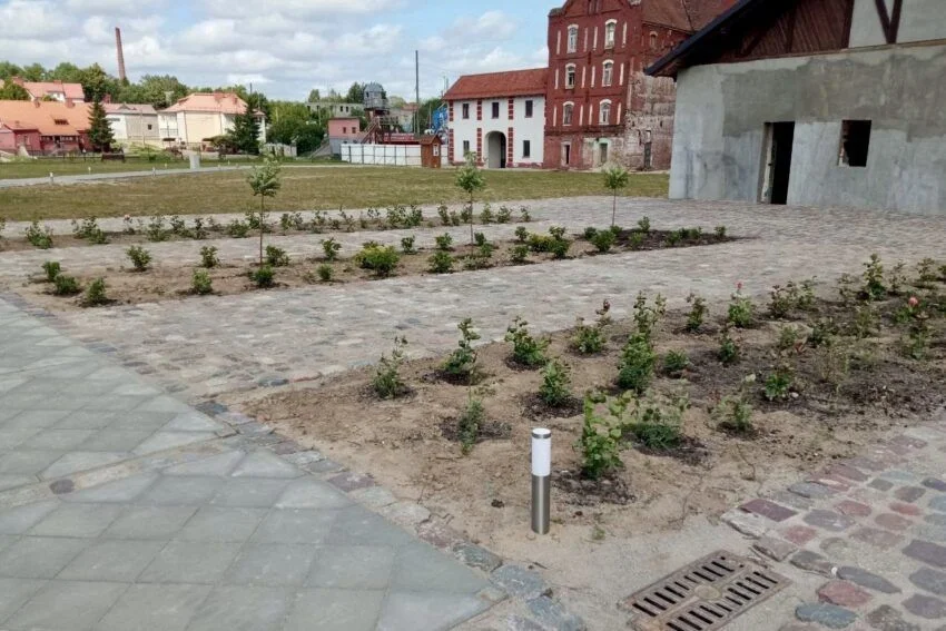 У замка Тапиау в Гвардейске стало больше зелени