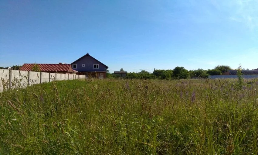 Власти Калининграда рассказали, кому раздали землю