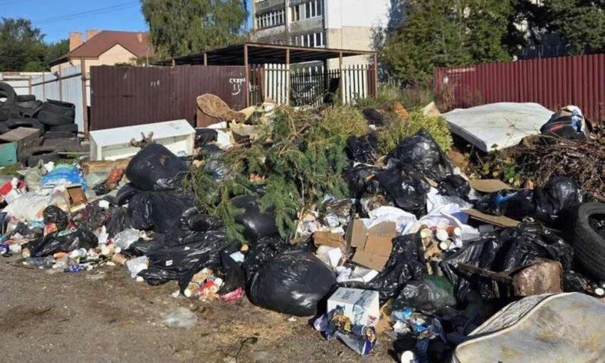 Свалки в Светлогорске разгребает прокуратура