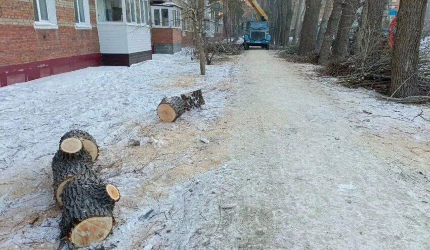 115 деревьев вырубят ради реконструкции канализационной насосной станции № 2