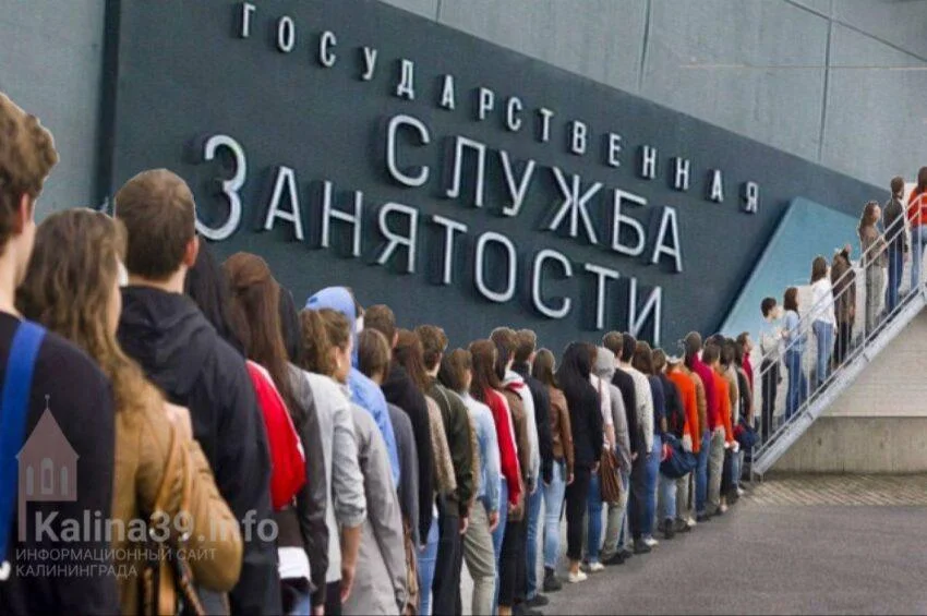 В&nbsp;Калининградской области выросла безработица