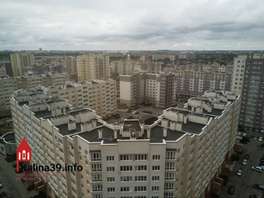 Черновик