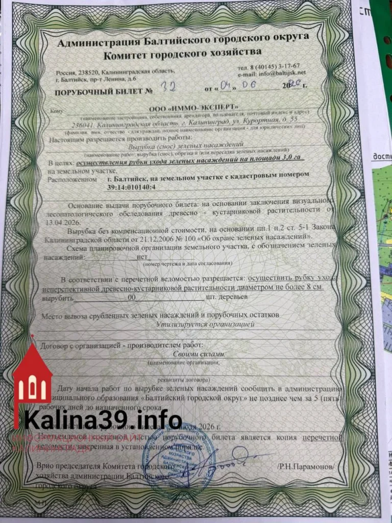 Черновик