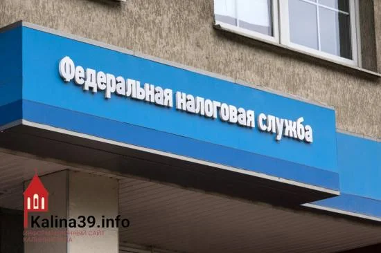 Черновик