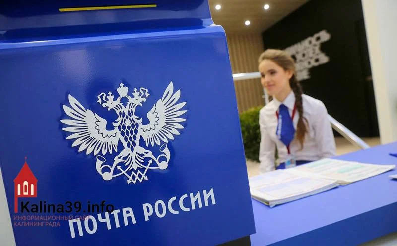 Черновик