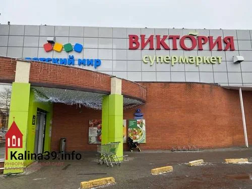 Черновик